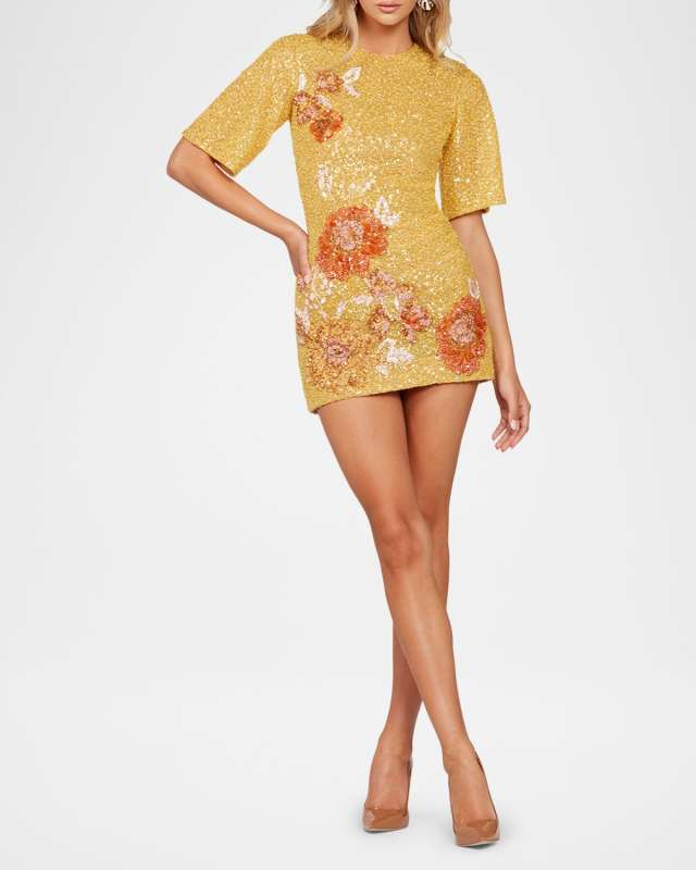 Brook Sequin Floral Applique Mini Dress